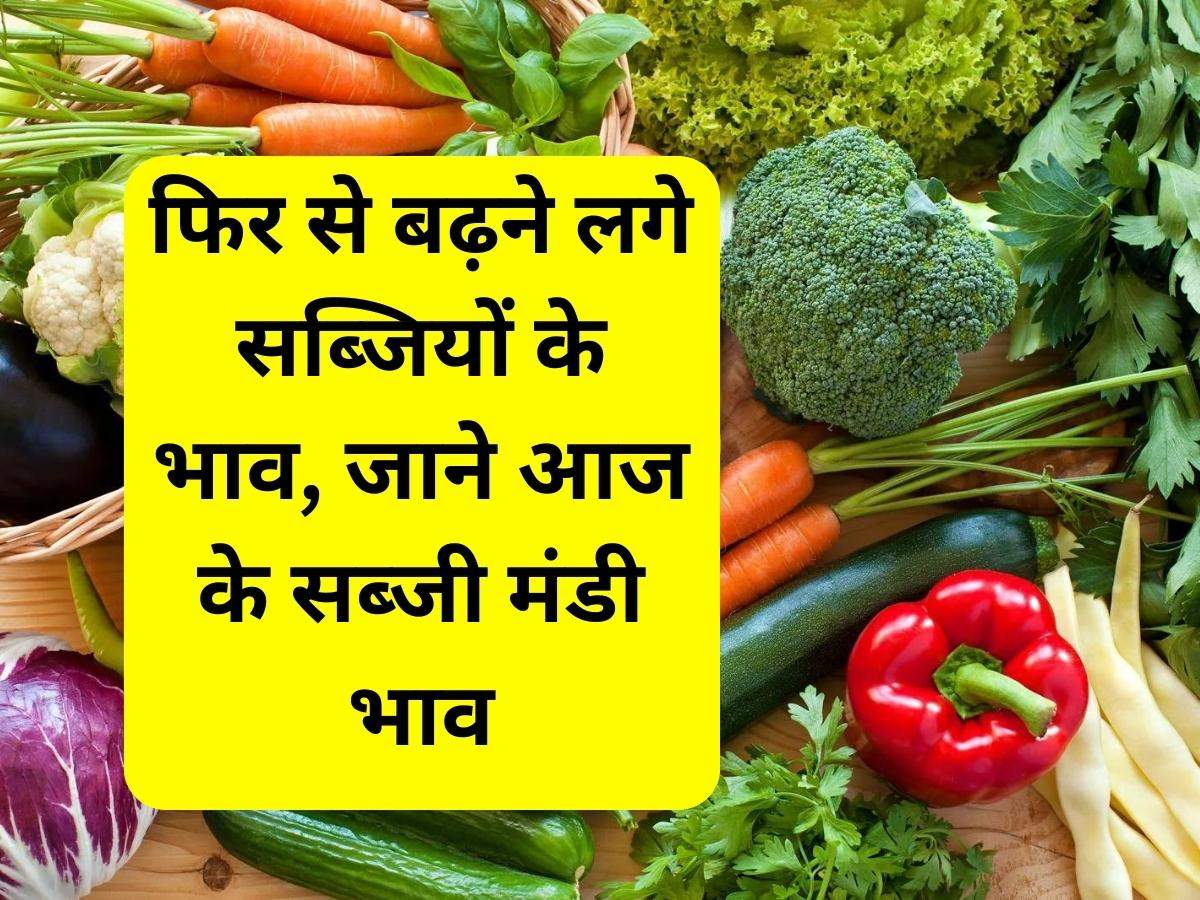 Vegetable Price Today: फिर से बढ़ने लगे सब्जियों के भाव, जाने आज के सब्जी मंडी भाव