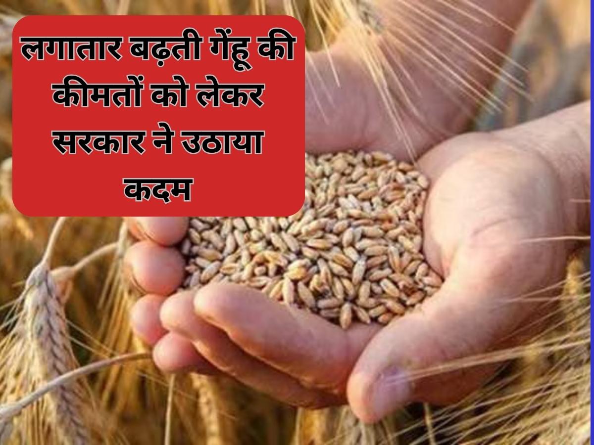 Wheat Price Hike