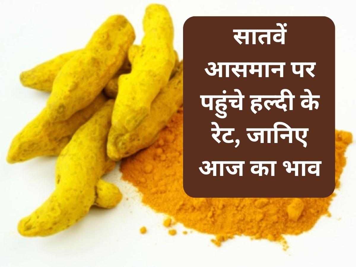 turmeric price