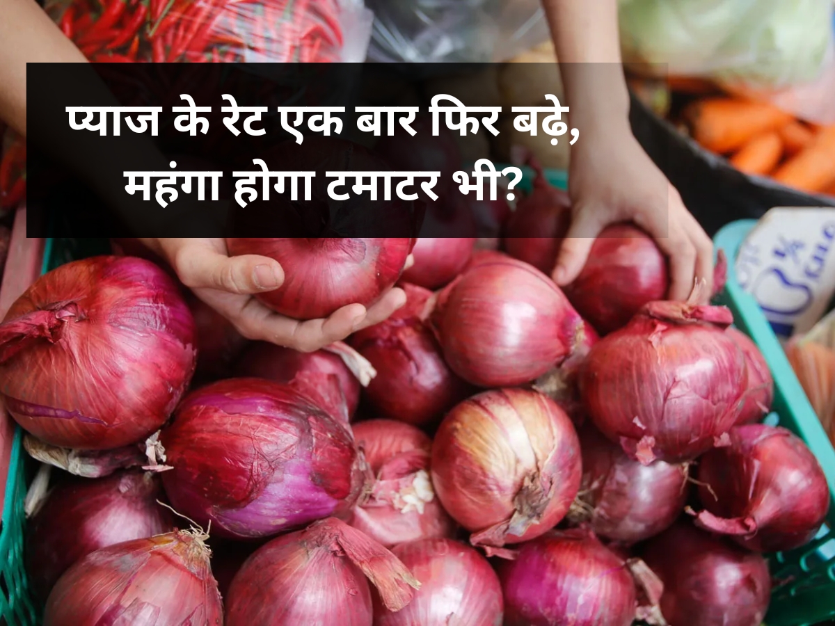 Onion Price Hike