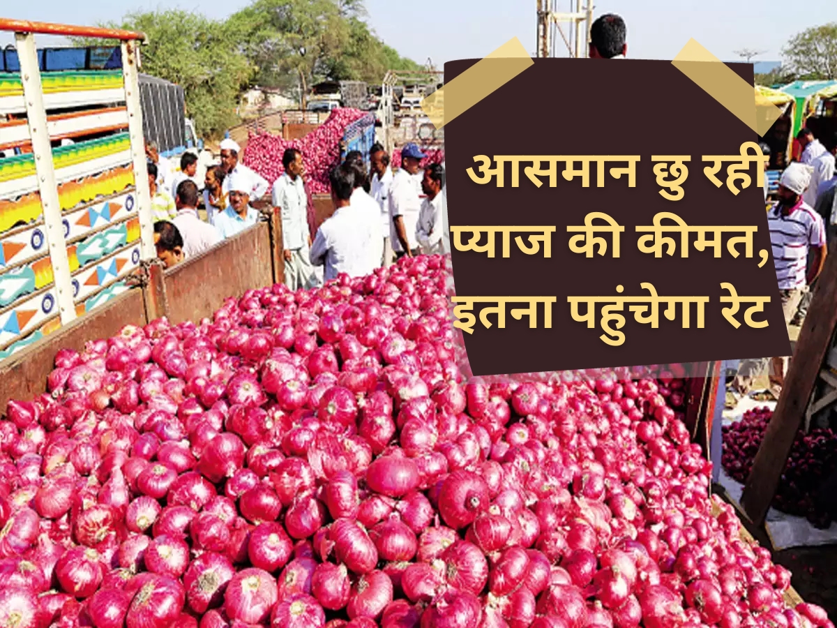 Onion Price Increased