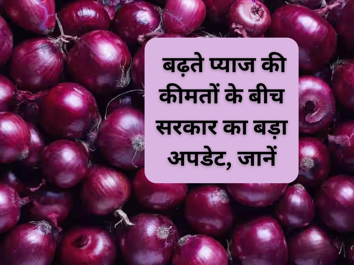 Onion Price Update