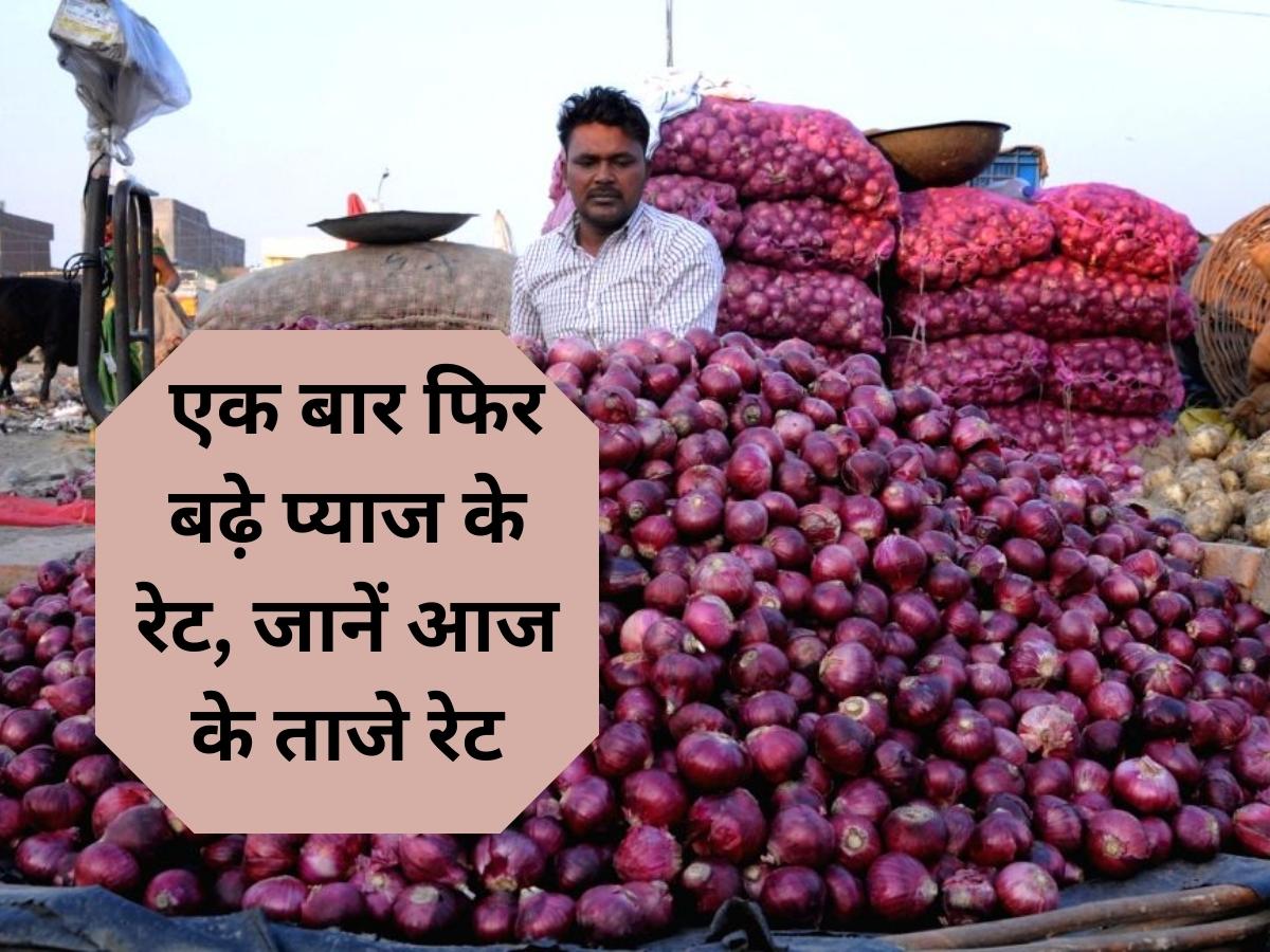 Onion Rate Increase