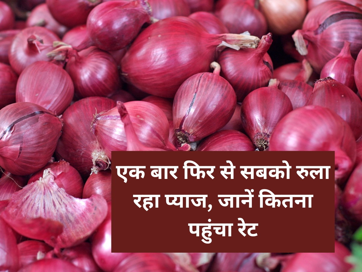 Onion Price