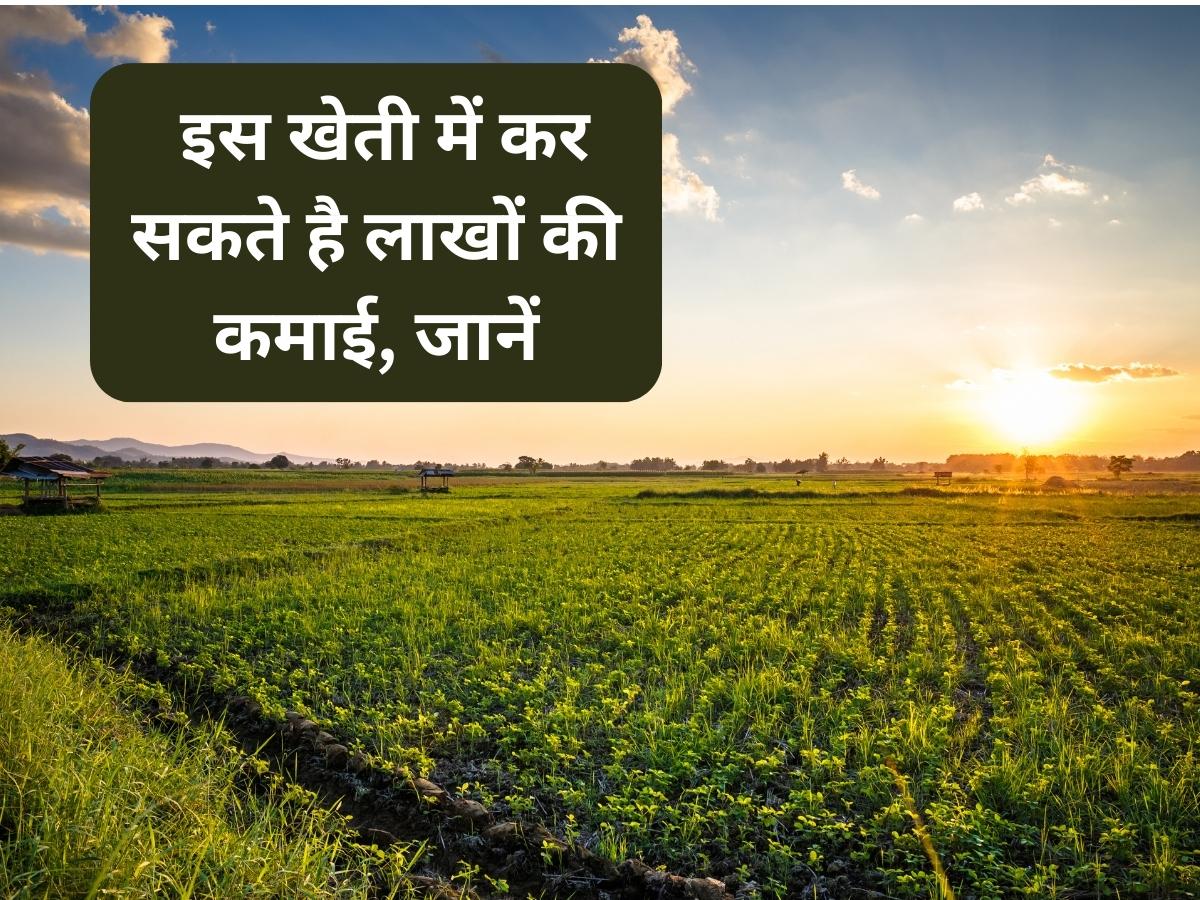 Agriculture Business Idea