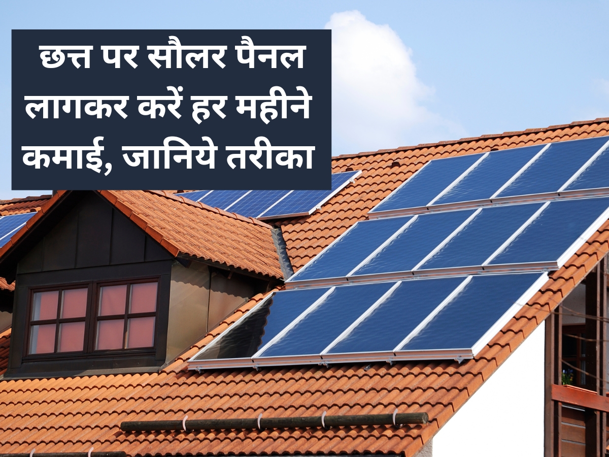 Earn Profit with Solar