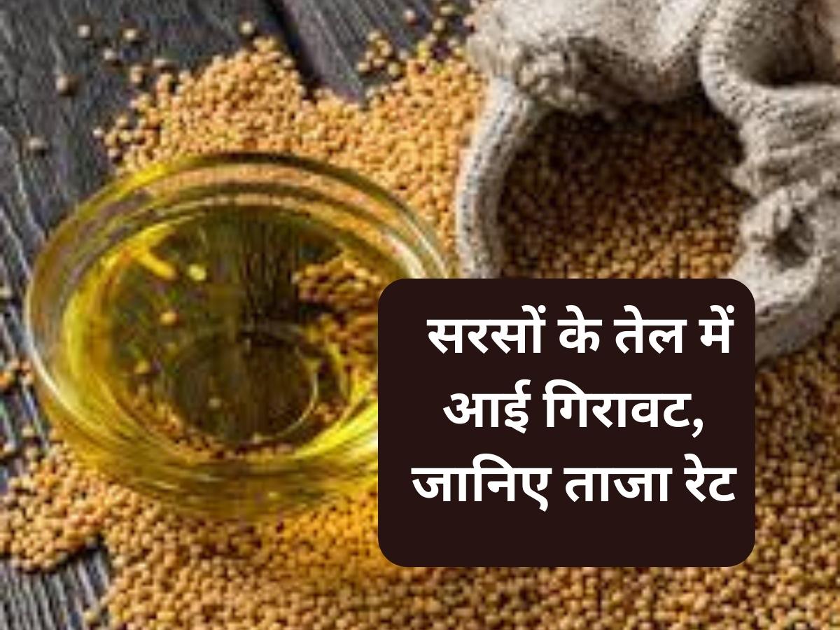 Mustard Oil Rate Decrease