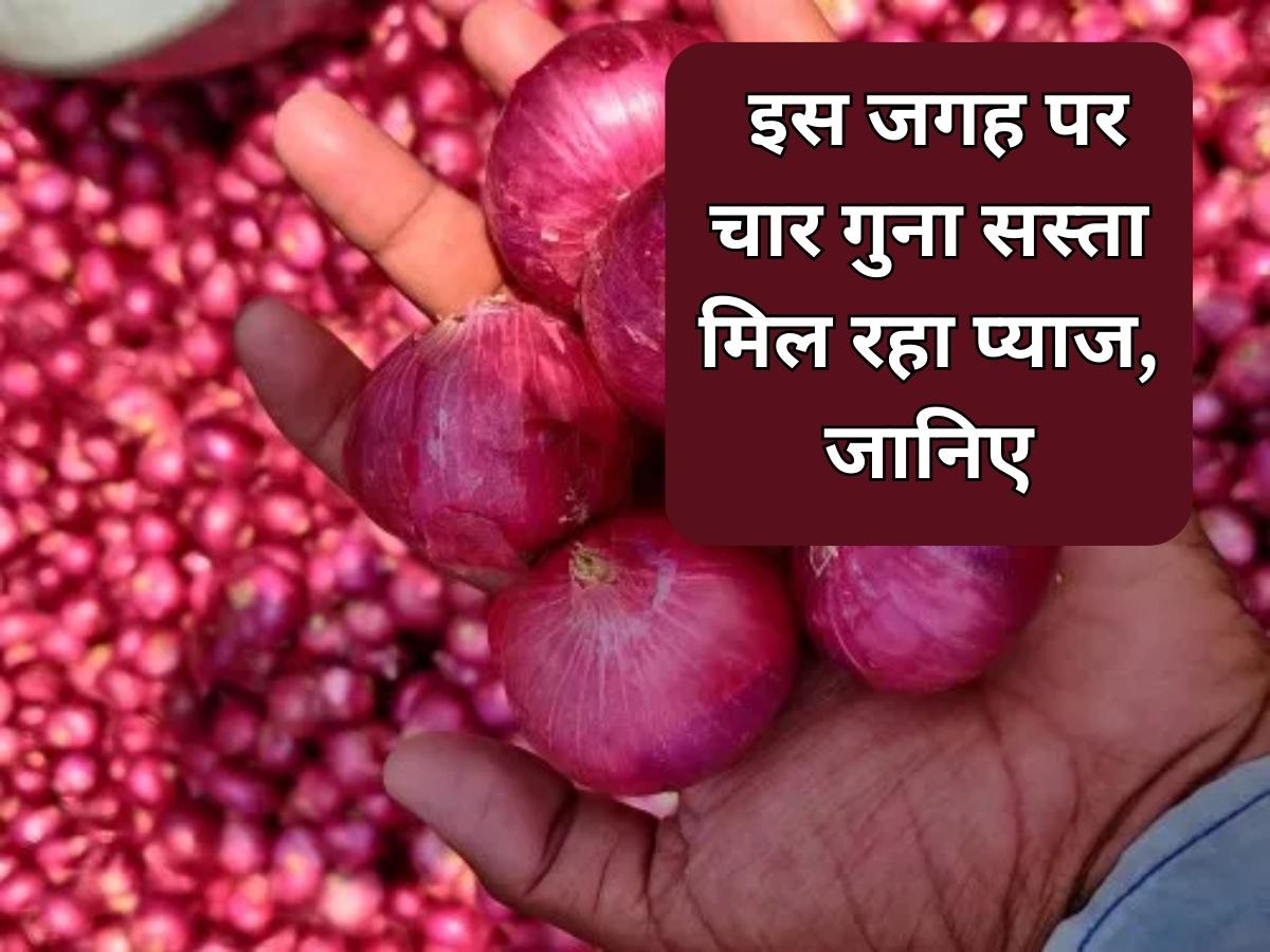 Onion In Cheap Rate