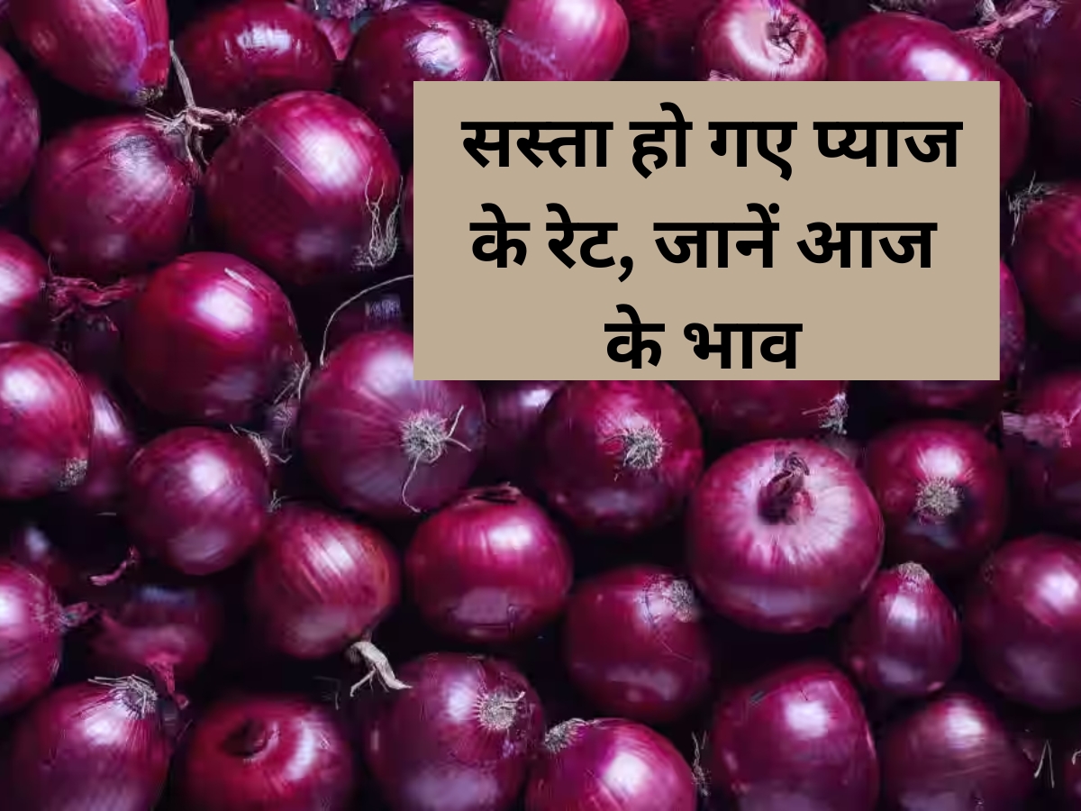 Onion Price in Delhi