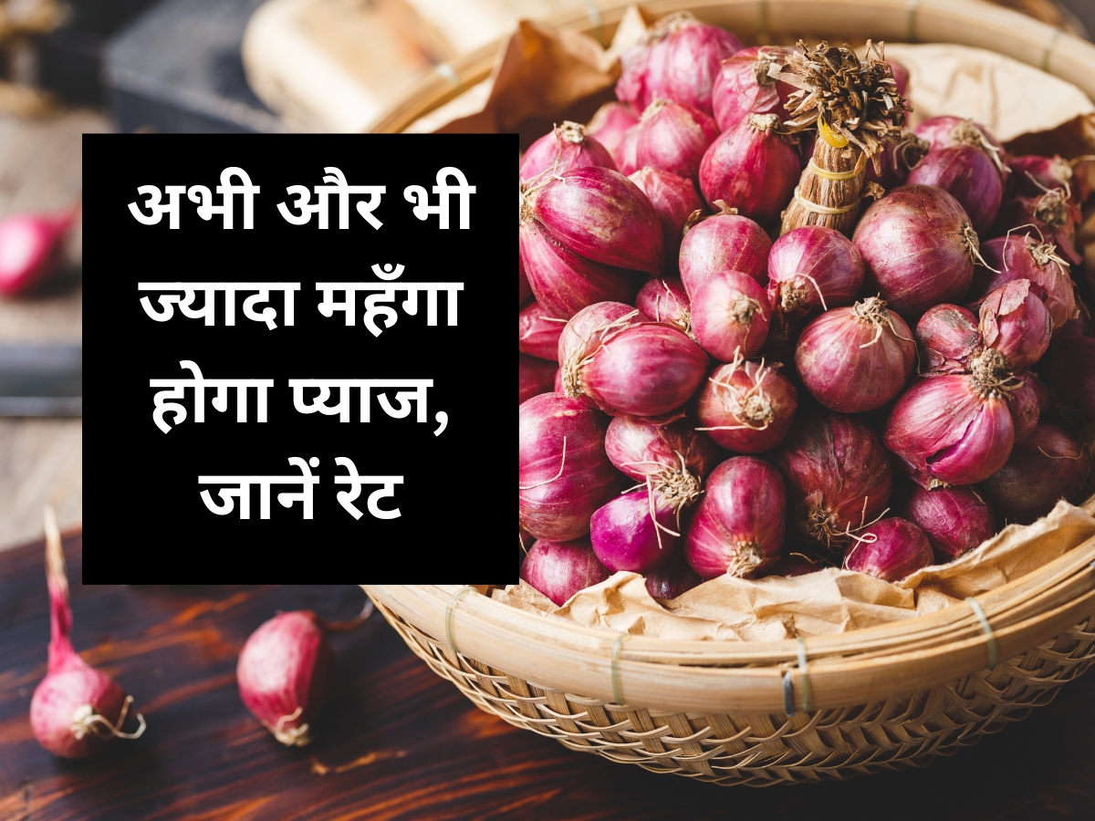 Onion Rate 9 nov