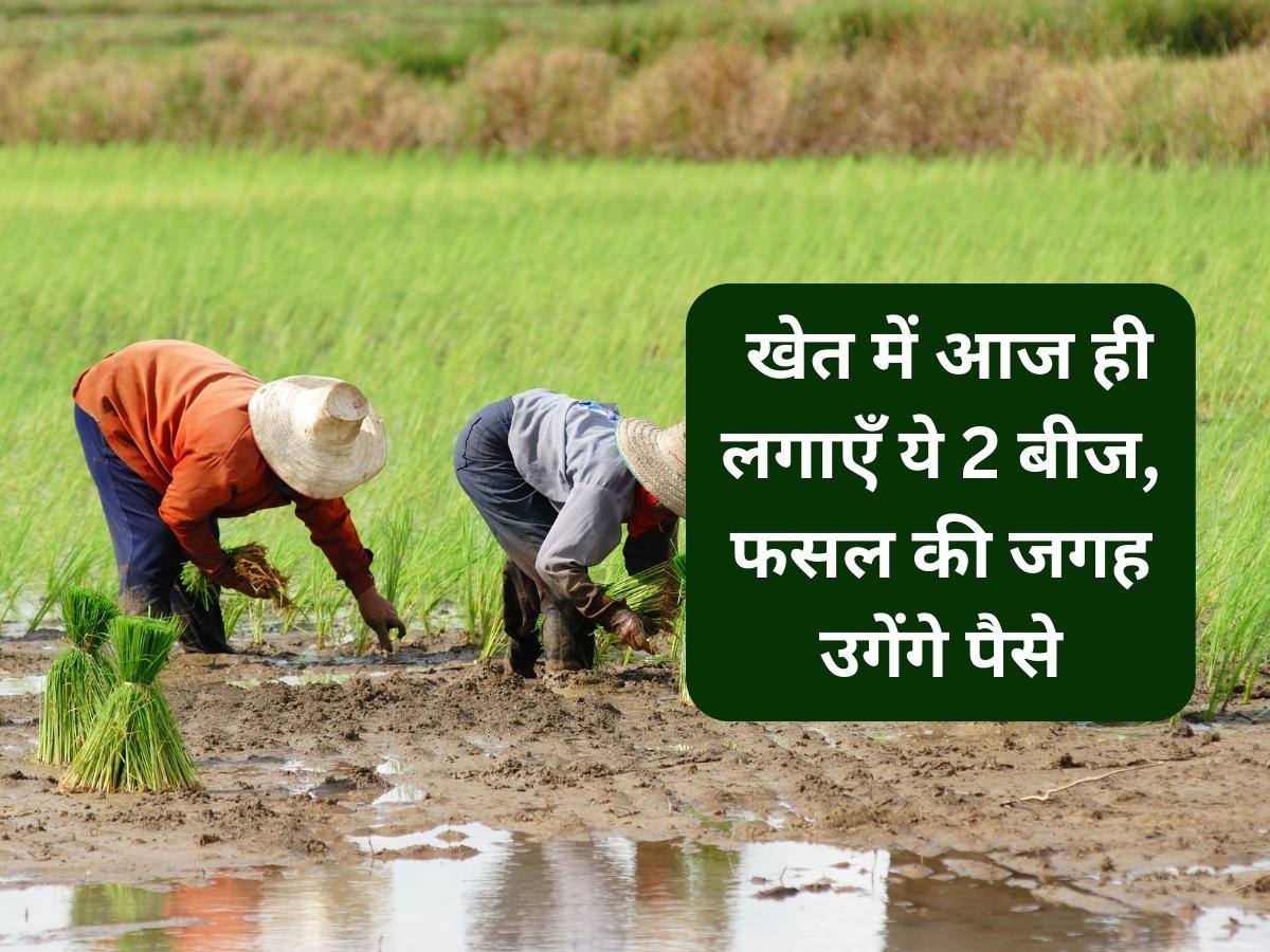 Smart Farm