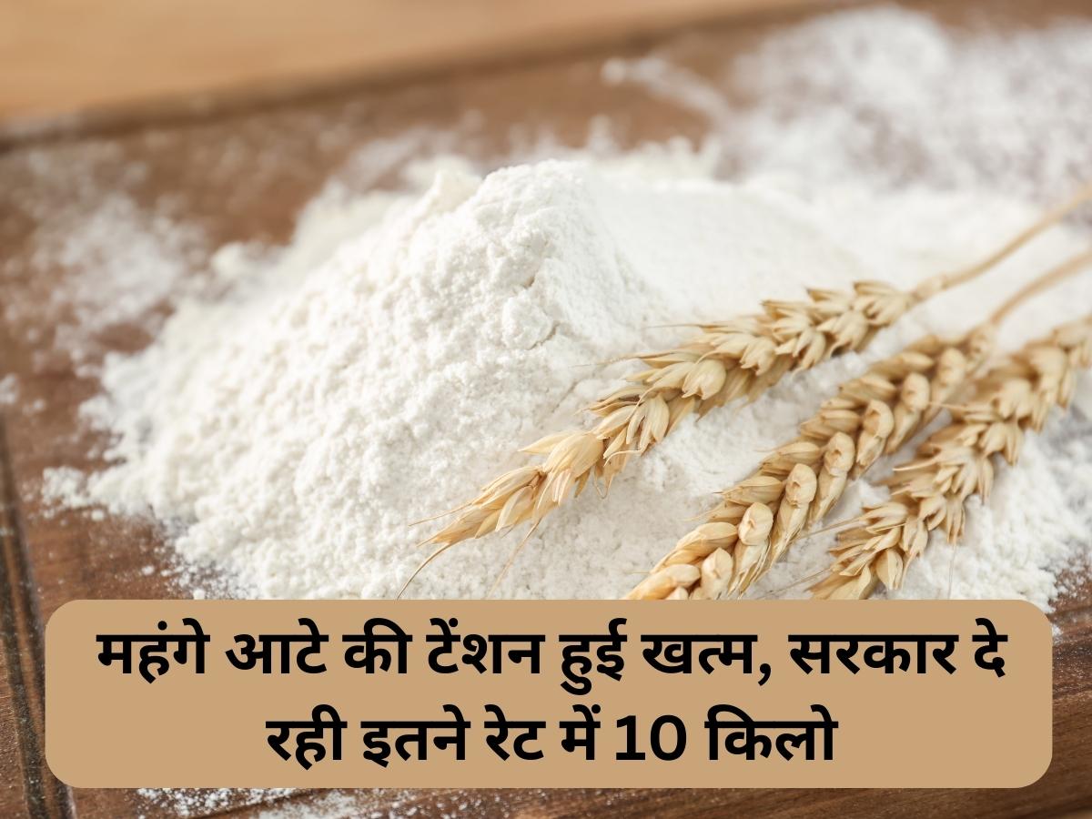 Wheat Flour Price