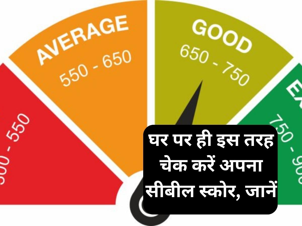 cibil Score Check