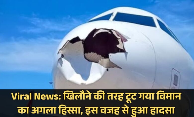 plane bird strike viral news